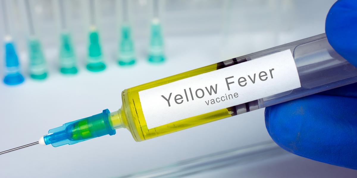 why-is-the-yellow-fever-vaccine-not-recommended-for-over-60s-miles