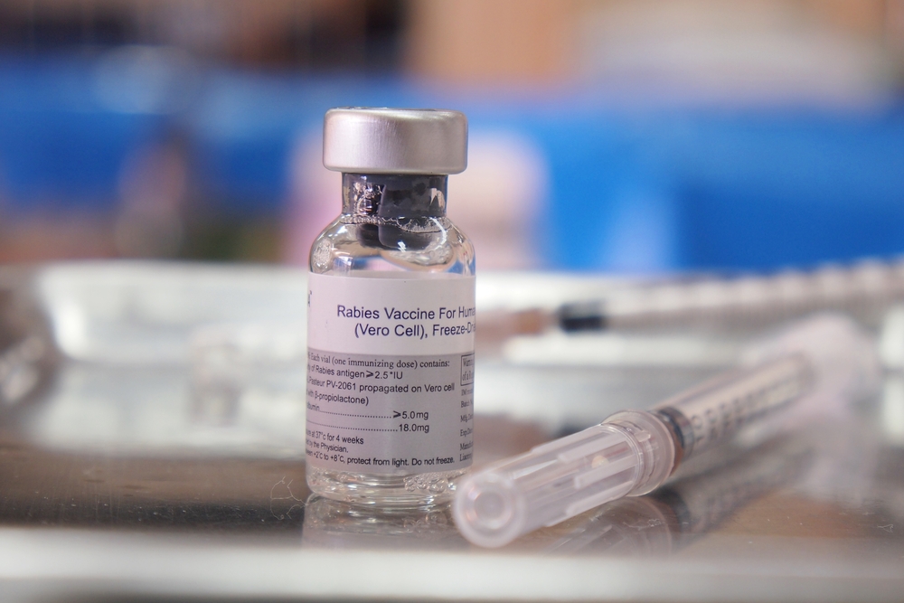 The Rabies Vaccine: Why It’s Important for Humans and Animals - Miles